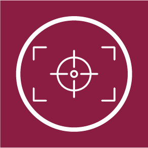 precision view system