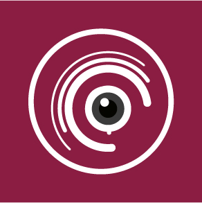 vision flow technology